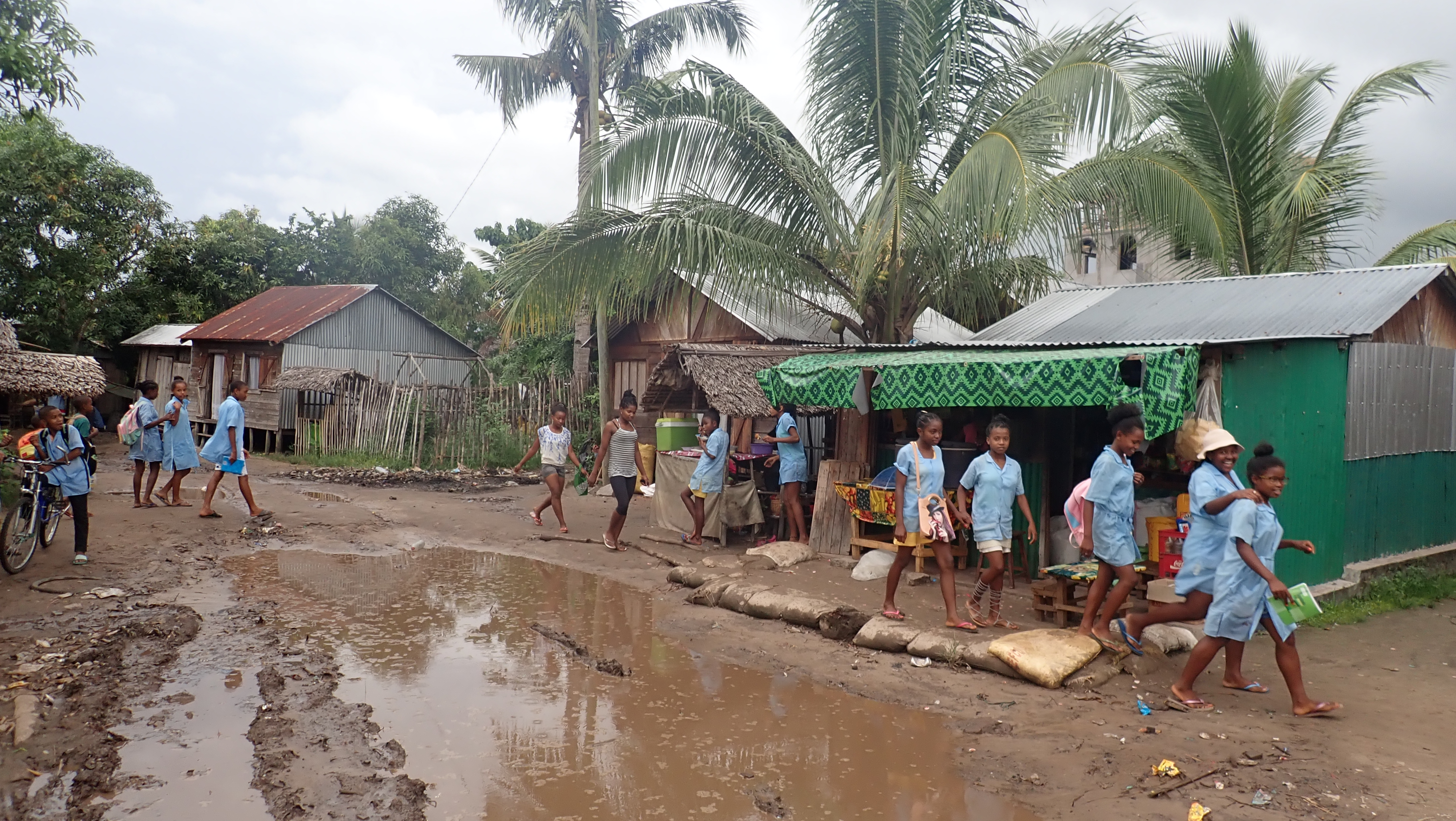 La côte Est en (bio)top saison cyclonique
